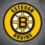 bruins android application logo